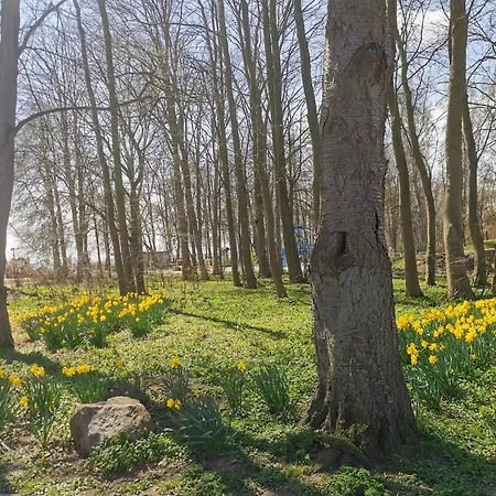 Apartmán Rosa Canina, W7